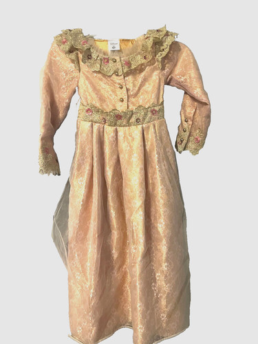 Costume disney store - costume, aurora