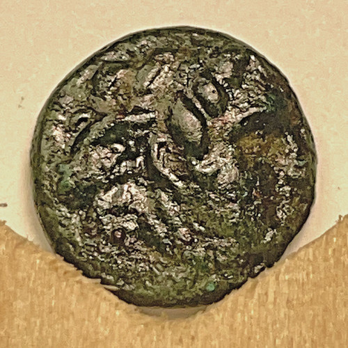 Seleuco 312 280 - seleuco, 312-280