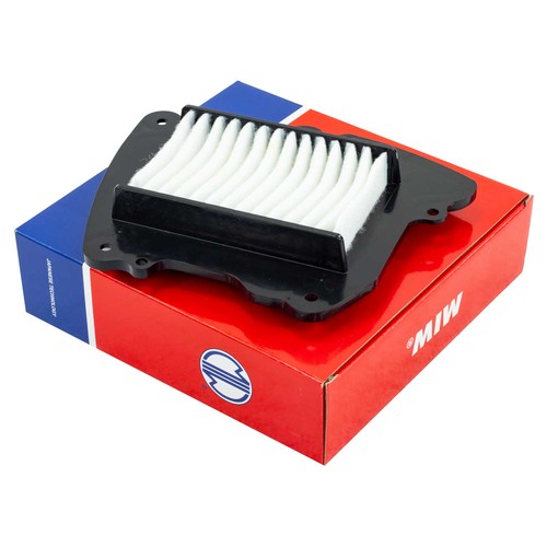 Filtro aria - , miw
