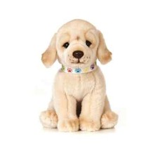 Golden Labrador cucciolo CANE