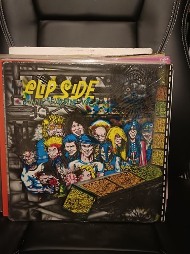 Various flipside vinyl - flipside,