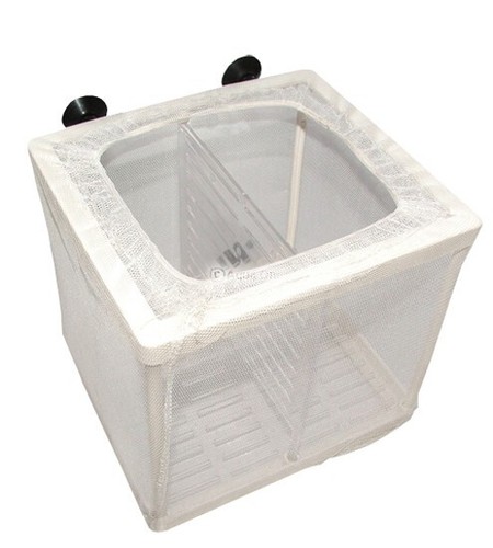Acquario net breeder trappola - net,