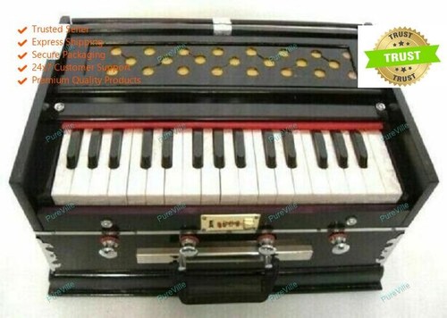 Strumento musicale indiano
