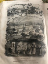 splendida stampa illustrazione