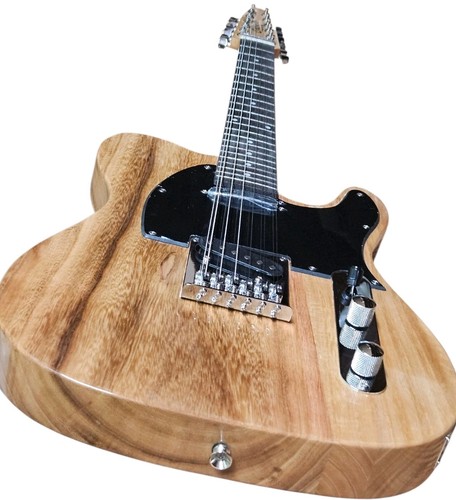 Chitarra elettrica full size - chitarra,