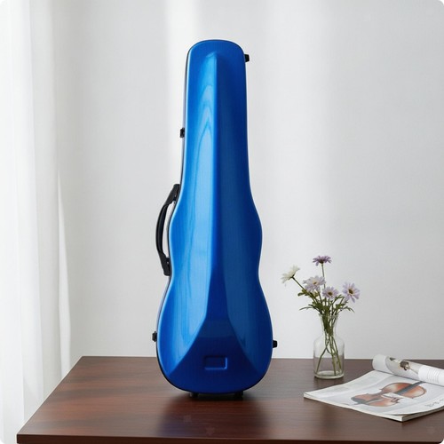Custodia rigida per violino