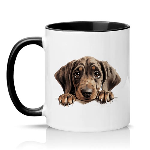 Cute peeking dachshund - peeking, puppy