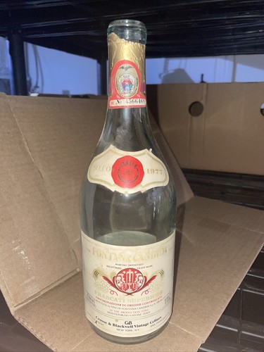 Bottiglia vino vuota - bottiglia,