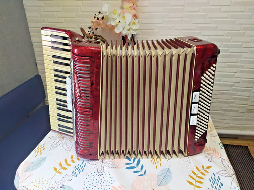 Fisarmonica vintage - fisarmonica,