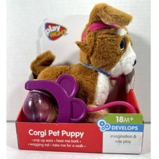 Corgi Pet Puppy