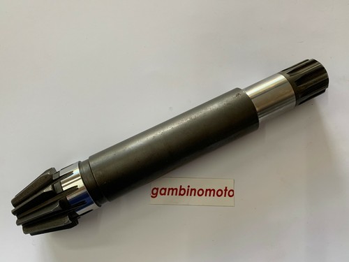 Pignone coppia conica pasquali - conica,