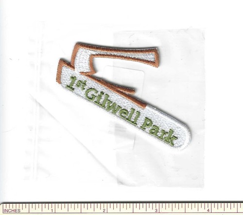 Scout bsa wood badge - badge, 1°