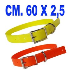 collare per cane arancio alta