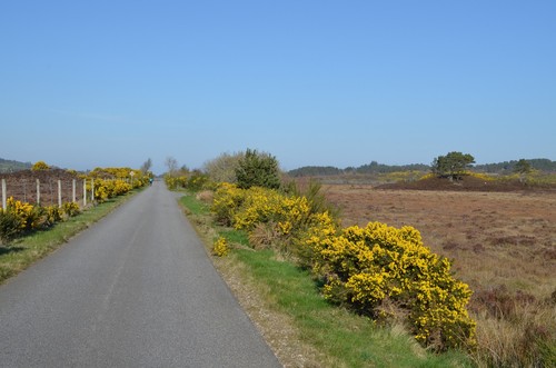 Photo 6x4 road clynelish - at,