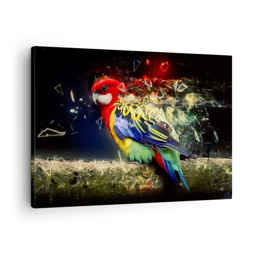 Quadro tela 70x50cm - quadro,