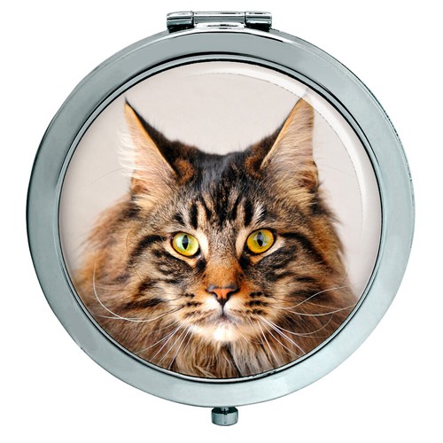 Gatto main coon specchio - gatto,