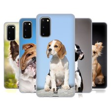 HEAD CASE DESIGNS POPULAR DOG