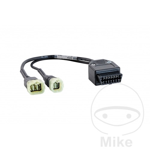 Gutmann adattatore connettore - adattatore,