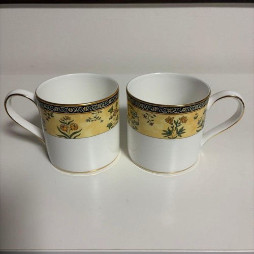 Wedgwood india mug set tazze - india,