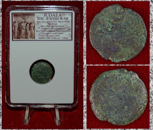 Moneta antica giudea guerra - moneta, la