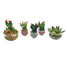 Piante in Ceramica di Caltagirone h. 8-10cm