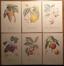 La Tavolozza dei Colori – 6