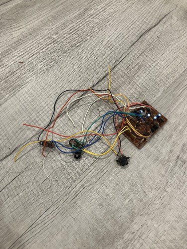 Gemmy cool catfish - gemmy, circuit