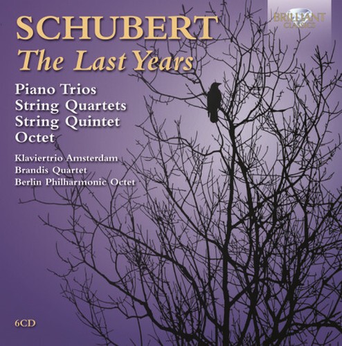 Schubert piano trios string - piano,