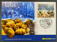 Cartolina Commemorativa Eccellenze Tartufo Bianco Norcia 2015