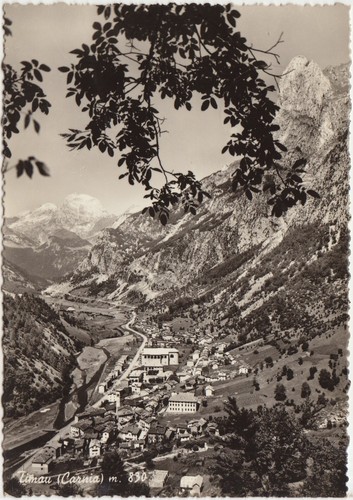 Timau carnia paluzza - -,