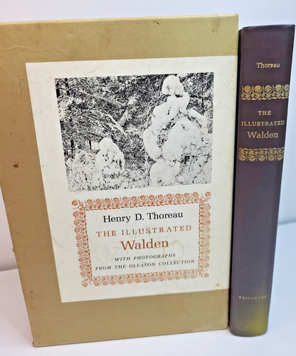 The illustrated walden 1973 - illustrated,