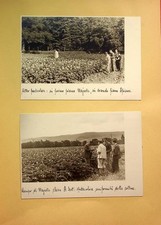 Relazione sulla visita alla zona di produzione delle patate da semina della Scoz