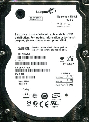 Seagate st980815a 80gb - 80gb,