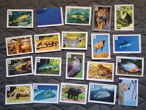 Set figurine animali wwf - set,