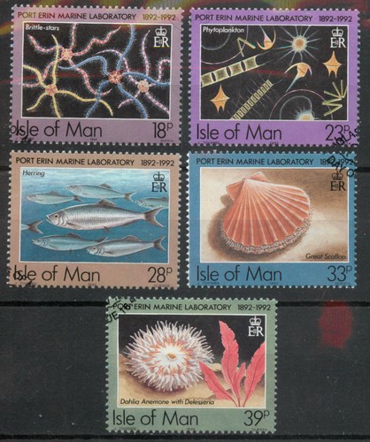 Isola man 1992 - isola,