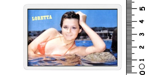 Calamita cantante famoso - cantante, 45