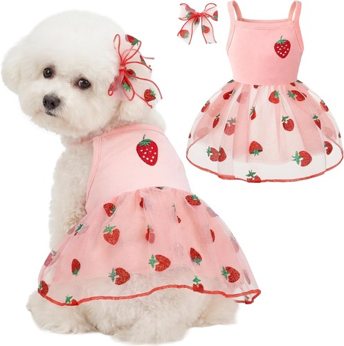 Vestiti per cani maltesi