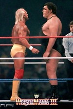 POSTER WWE GIGANTE 24”x36”