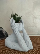 Vaso decorativo per piante