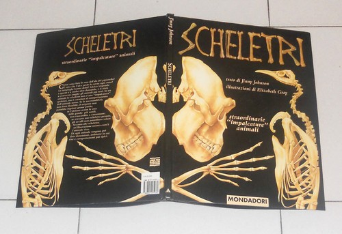 Scheletri straordinarie - scheletri,