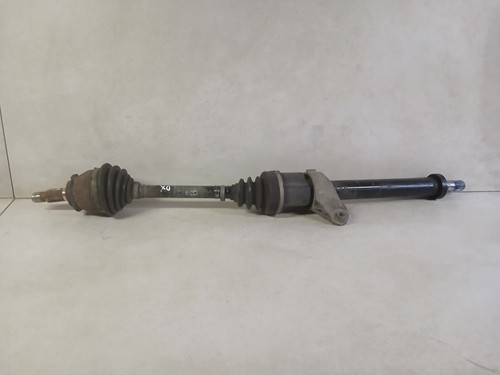 485348404 semialbero ant - 485348404,