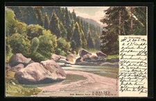 Litografia artistica firmata H. Harder: Im Ockerthal, lotto sulla curva del fiume 