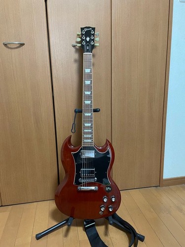 Custodia rigida standard