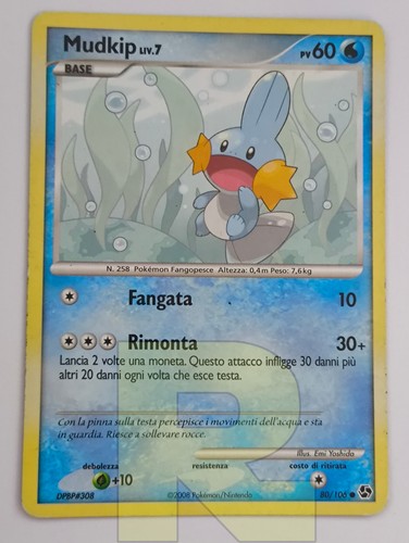 Mudkip incontri - ®,