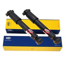 2x Ammortizzatori a gas