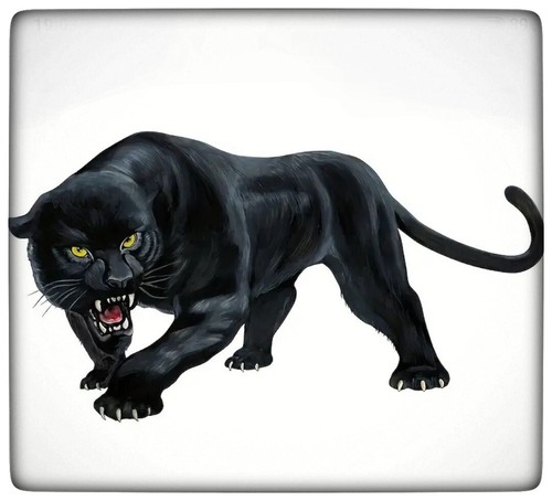 Adesivo pantera nera - adesivo,