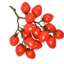  Simulazione pomodori