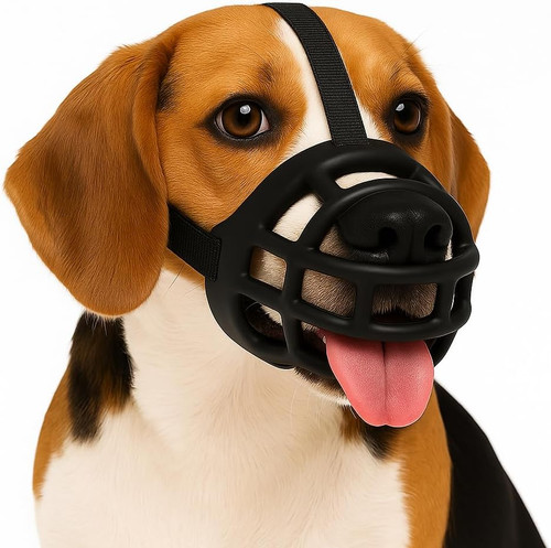 Museruola per cani - cani, –