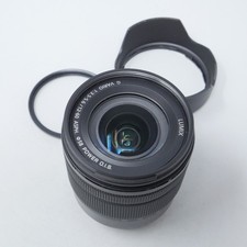 Panasonic Lumix G Vario 12-60