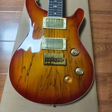 Chitarra elettrica prs SE